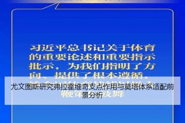 尤文图斯研究弗拉霍维奇支点作用与莫塔体系适配前景分析