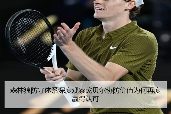 森林狼防守体系深度观察戈贝尔协防价值为何再度赢得认可